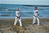 Beach Taekwondo Pesaro